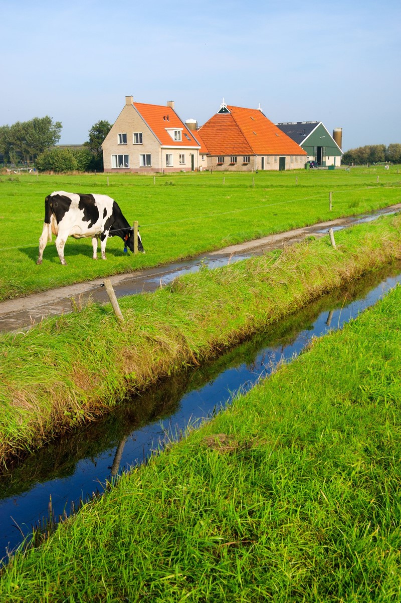 Verbouwing voor rekening bv was uitdeling van winst aan dga